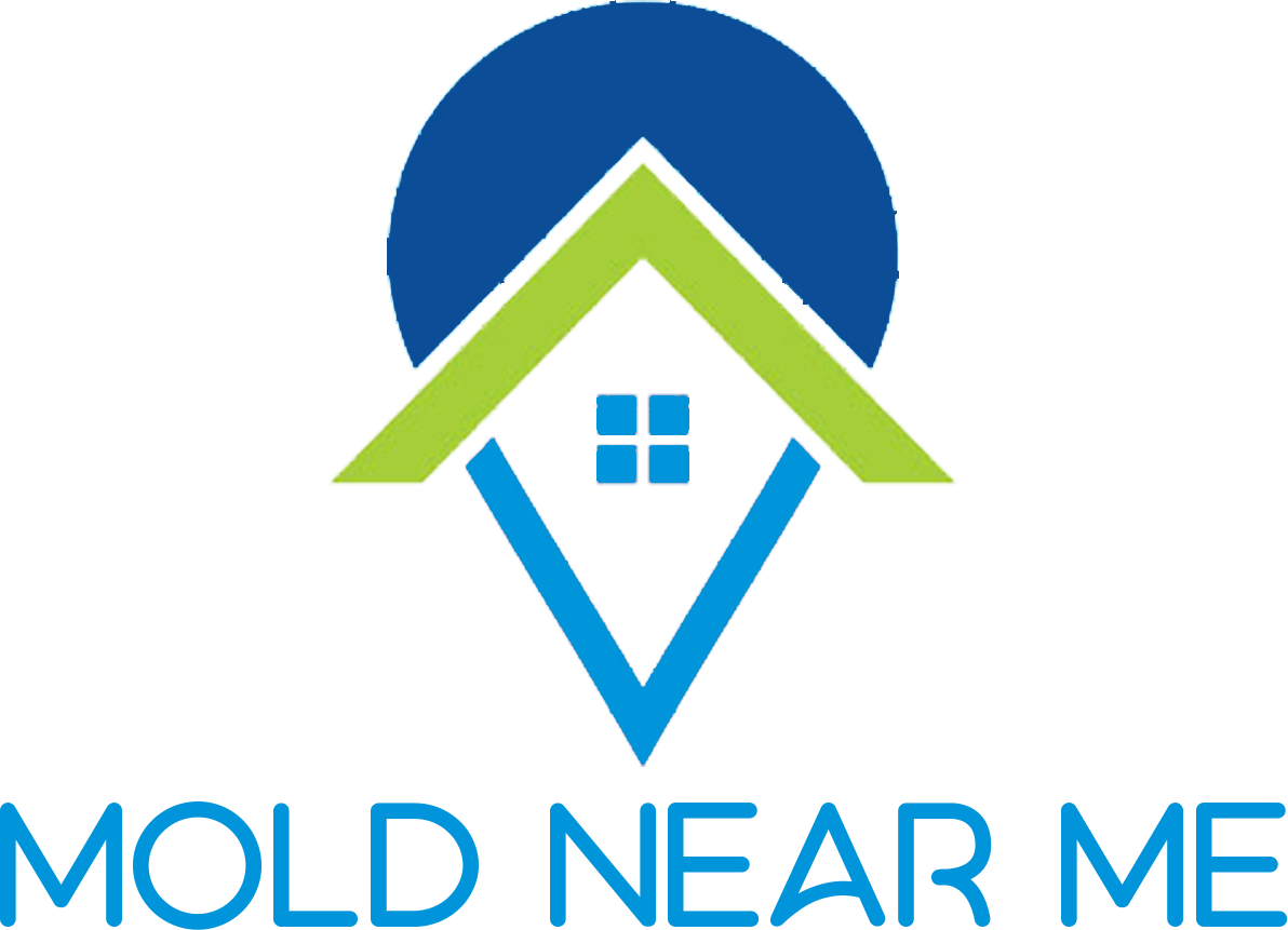 Hollywood, FL Mold Removal & Remediation Company | Mold Inspection Services